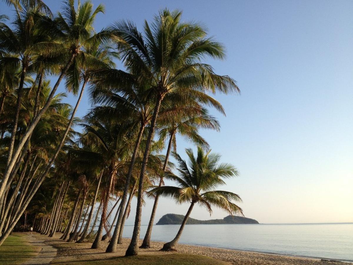 Palm Cove Penthouse Leilighet Eksteriør bilde