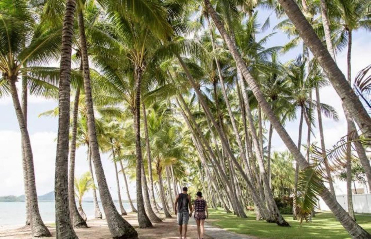 Palm Cove Penthouse Leilighet Eksteriør bilde