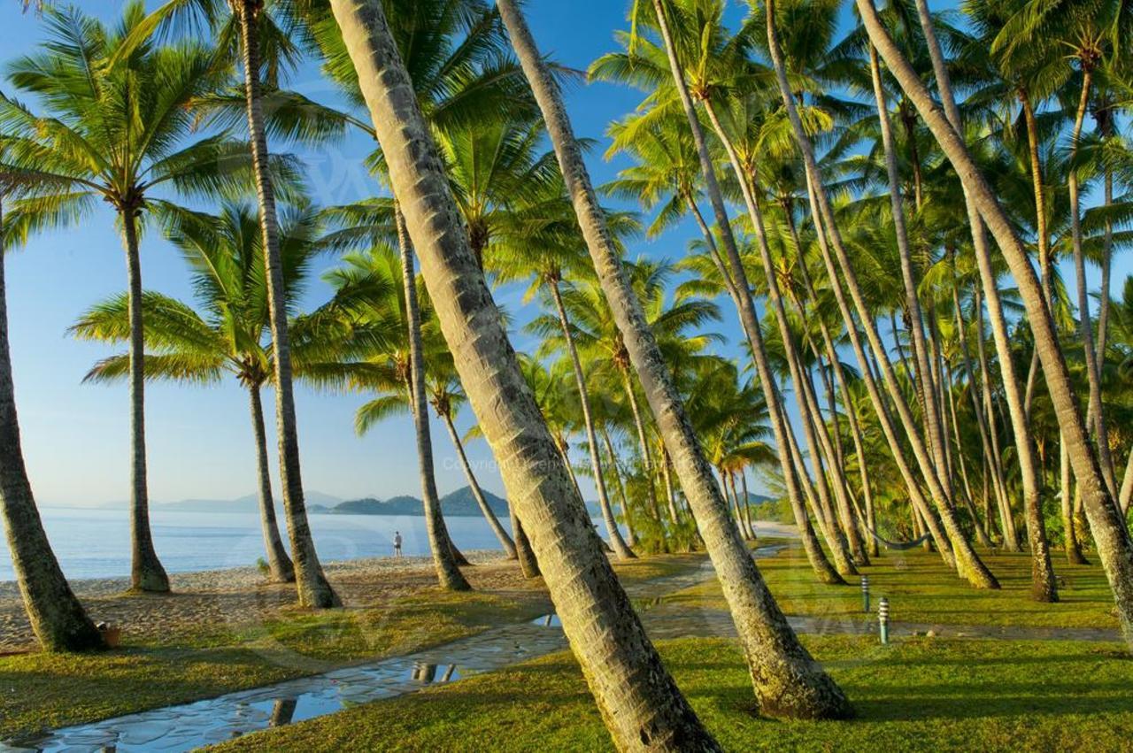 Palm Cove Penthouse Leilighet Eksteriør bilde