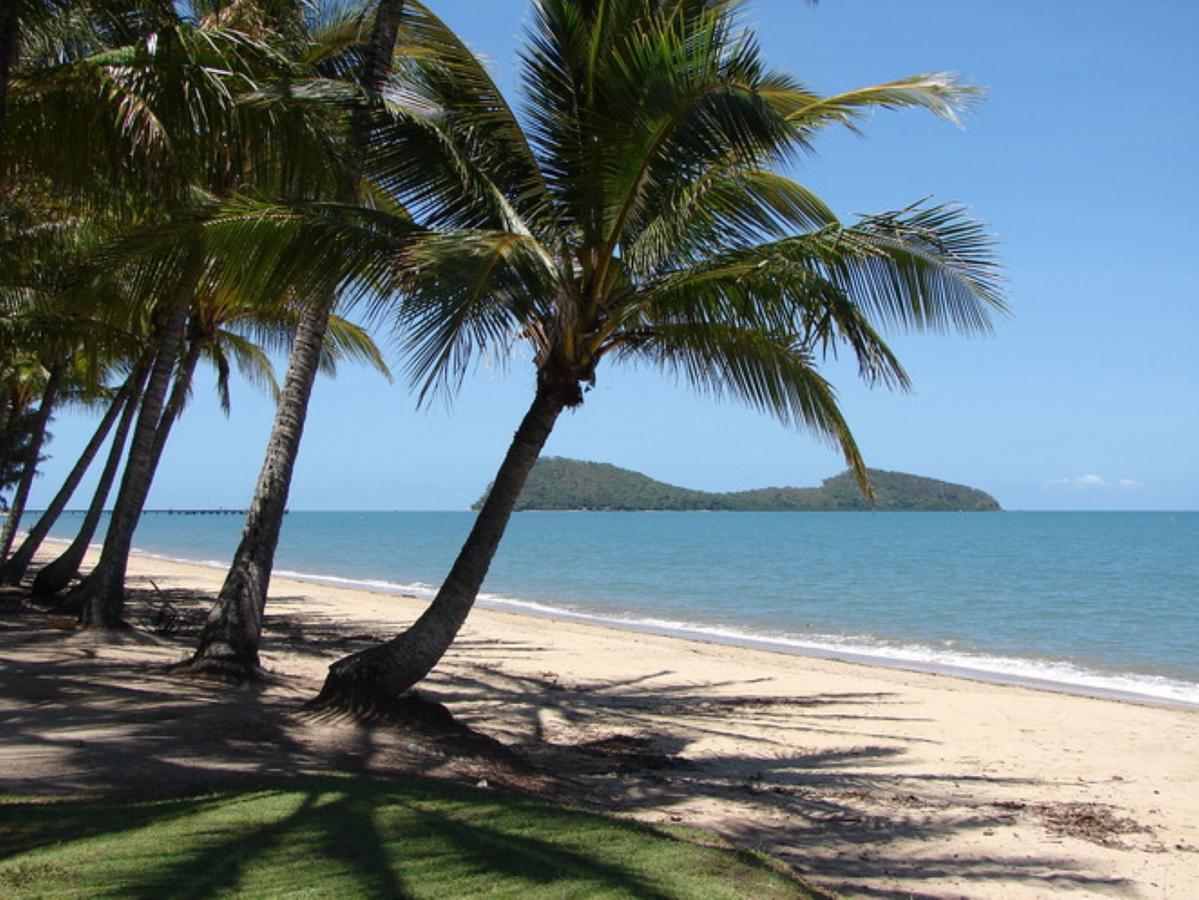 Palm Cove Penthouse Leilighet Eksteriør bilde